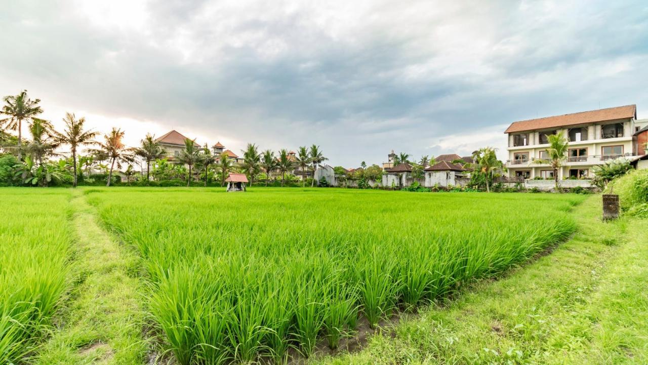 Juli House By Mahaputra Gasthuis 3*